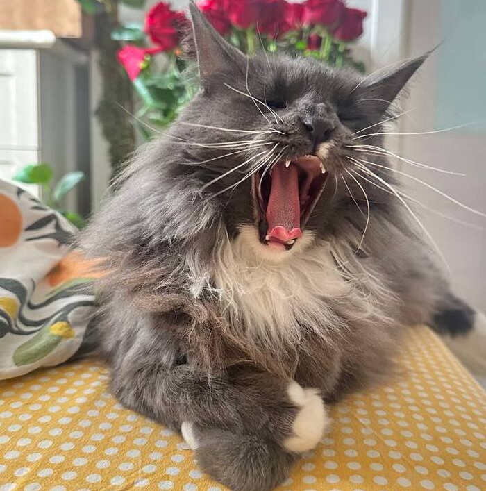 ������� � ��������� ������ ����� ��� ������ �������...