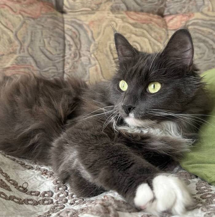 ������� � ��������� ������ ����� ��� ������ �������...