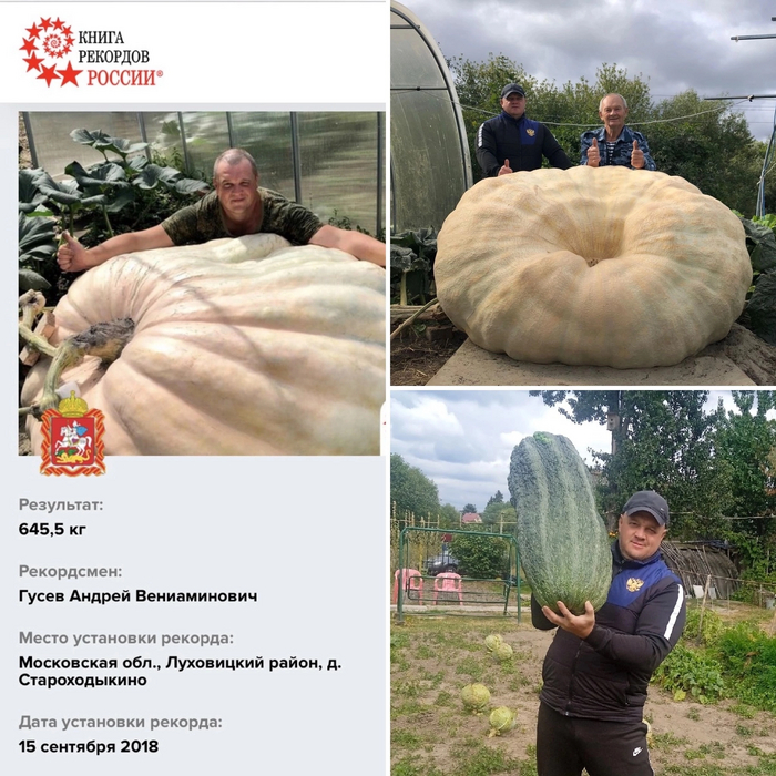 ������ �����: �- �����-�� ������ �������� ��� ������������ ��������, ������� ���������� ���������� �����. ���������������. ����� ����������� �������� ���-�� ������� � ������.�