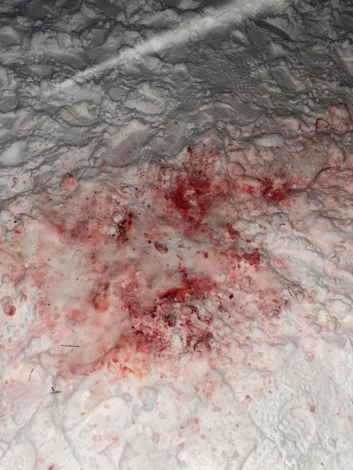 Ставрополь 25.02.2025