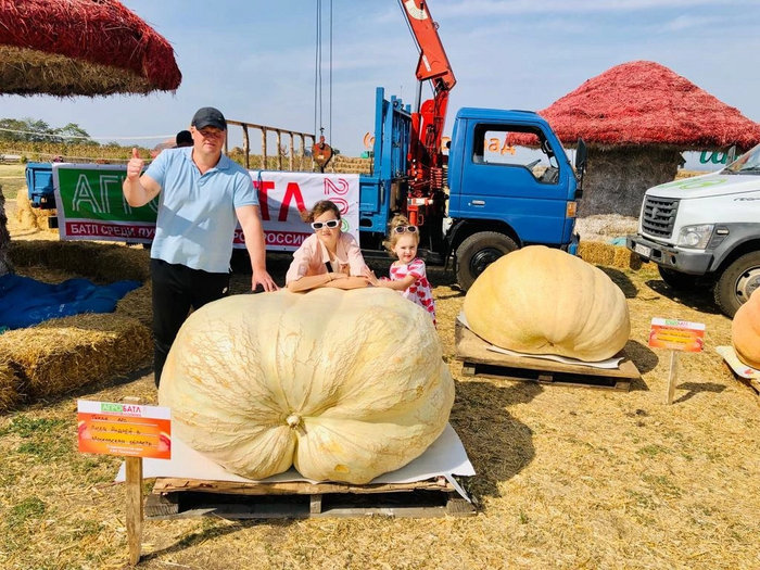 ������ ����� � ������� �� �������� ���������