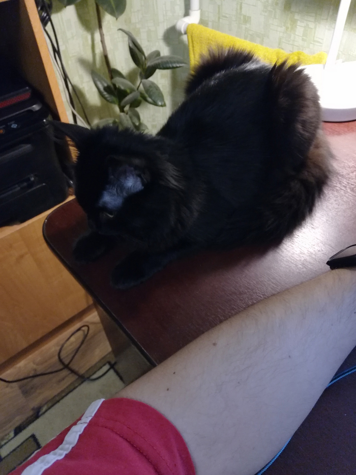 �� �������, � � ��� ������ :3