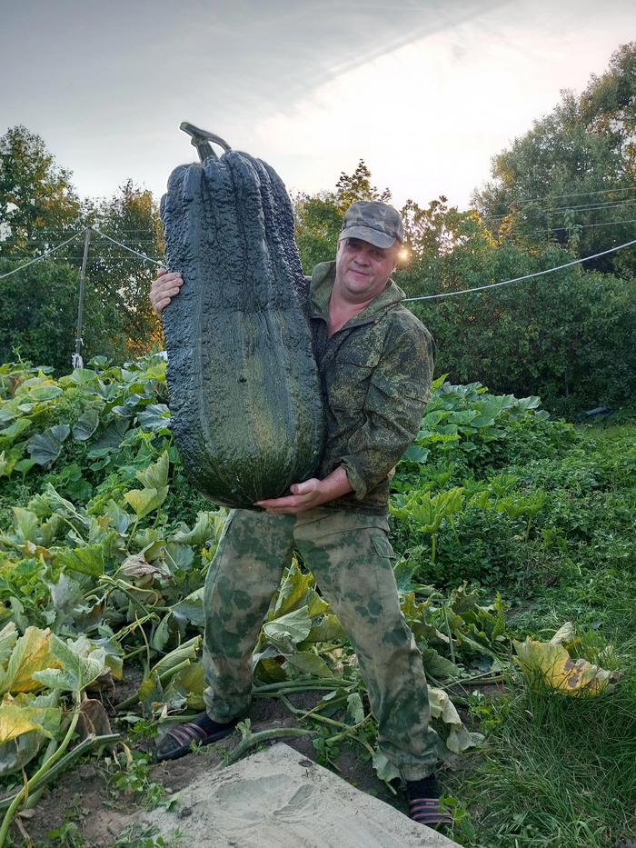 ������ ����� � ������� ������ ����� ����� 50 �� 2024 ���