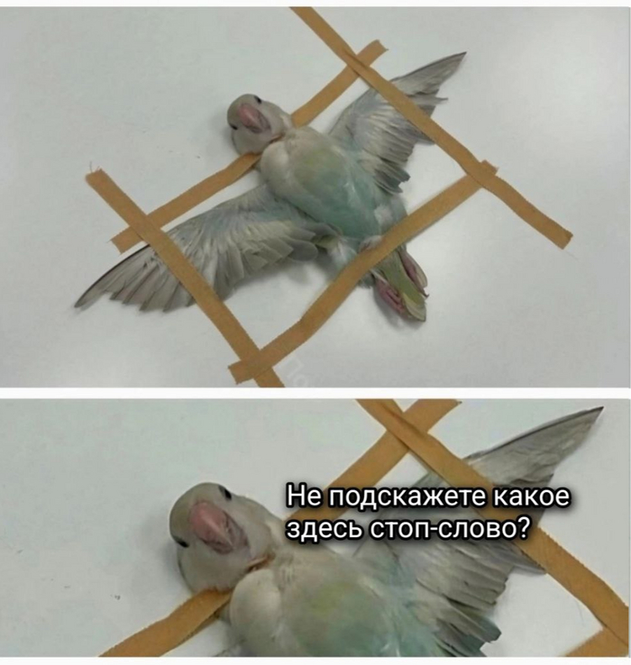 Нужно стоп слово