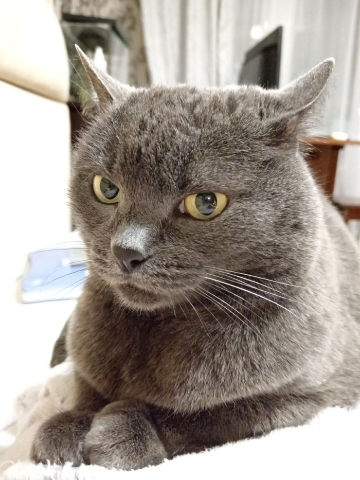 � �� ���� ��� ��� ���� ������ ���������