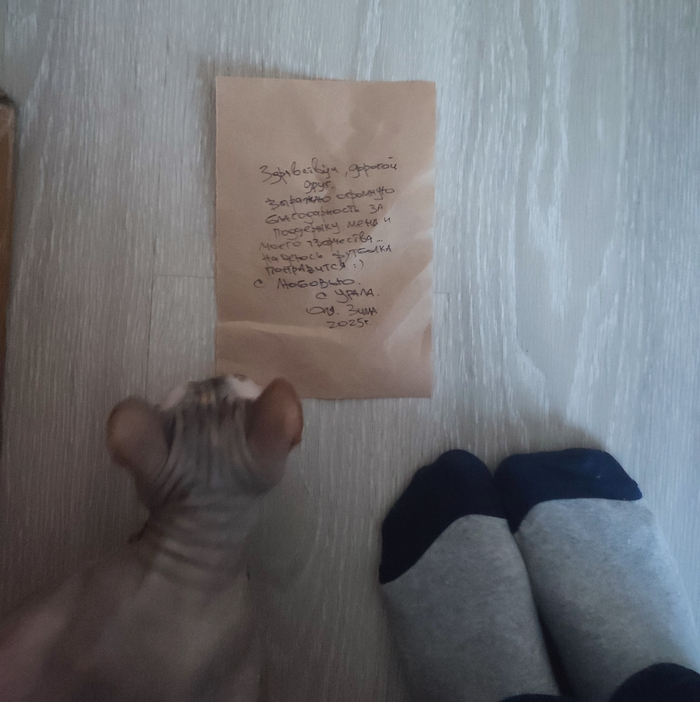 Читаем письмо