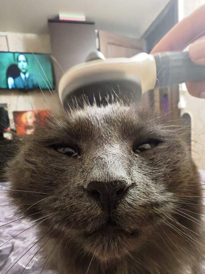   , , , , ,  ,  , ,  , ,  ,  , 