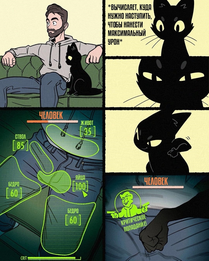 C.A.T.S  , , , , Fallout,   , Adamtots, Adam Ellis