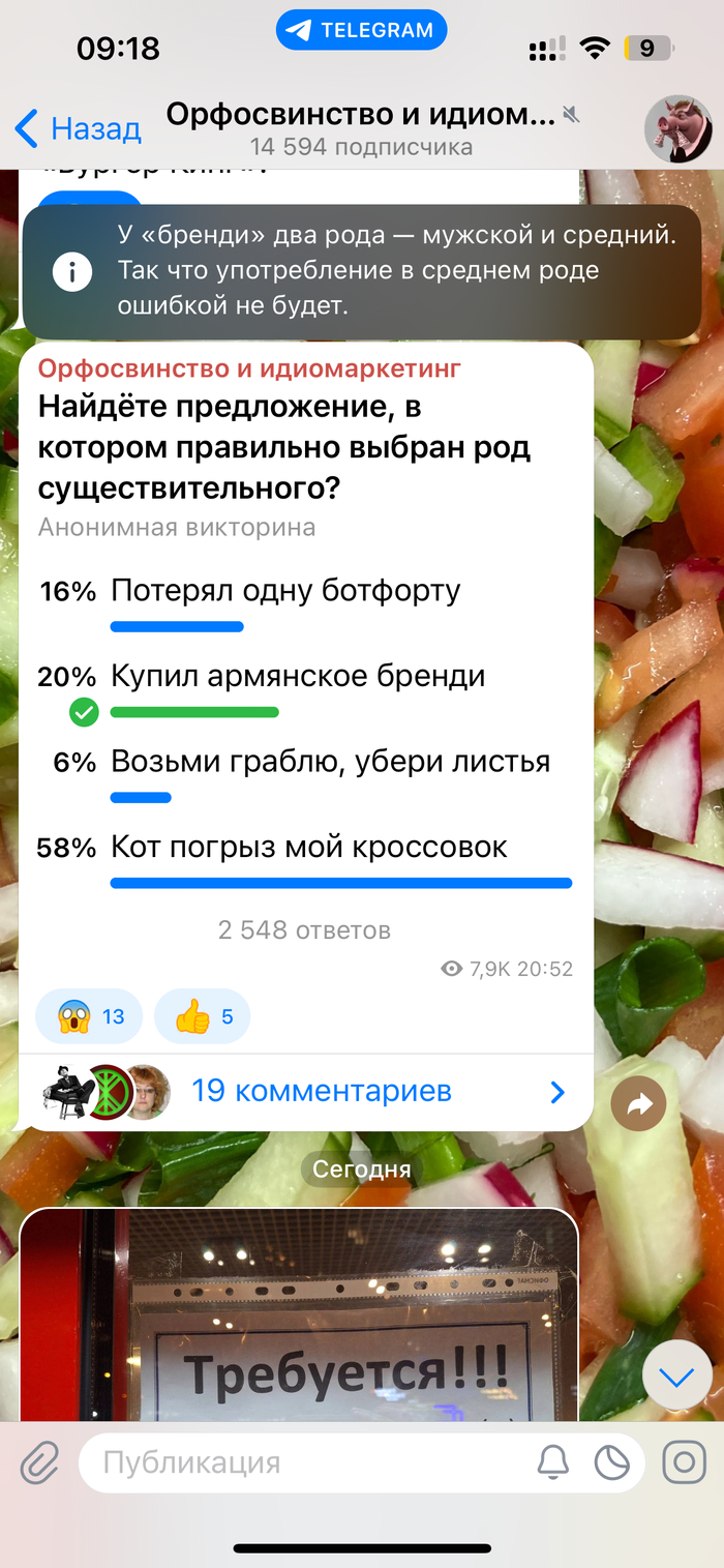 Ежедневно новые вопросы