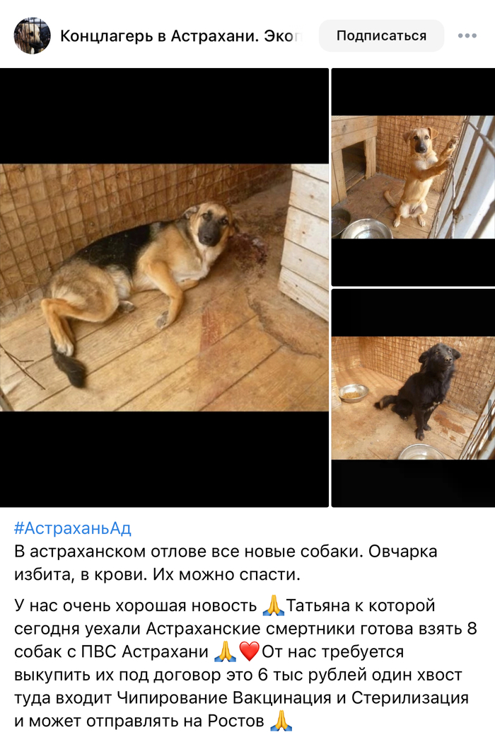             , ,  ,  , , , , -, , ,  ,   , Telegram (), 