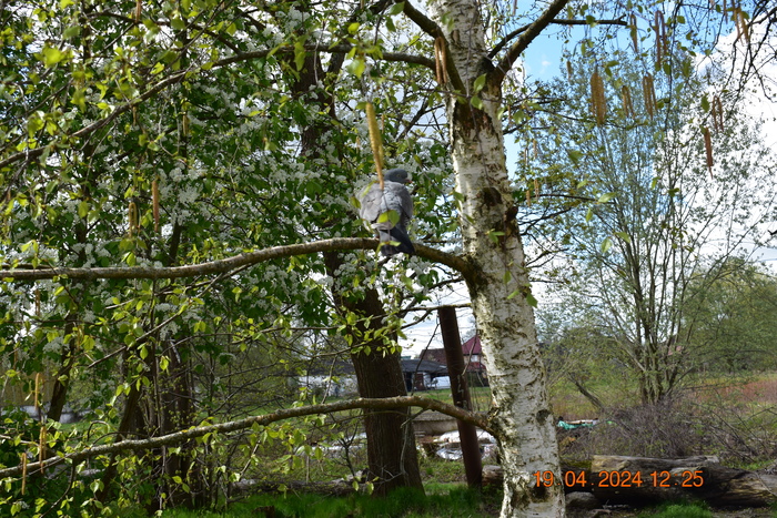 ������ �� ������.