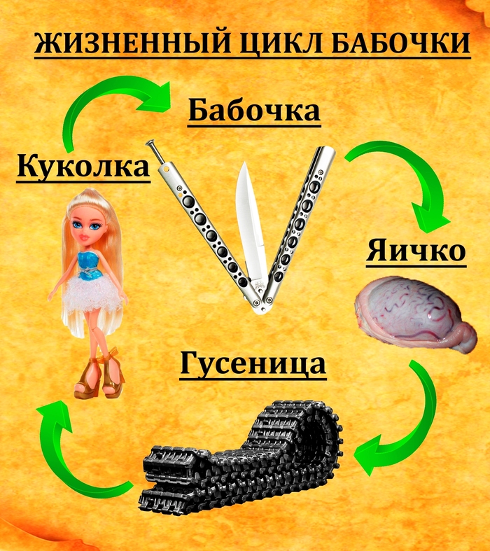 Круговорот жизни