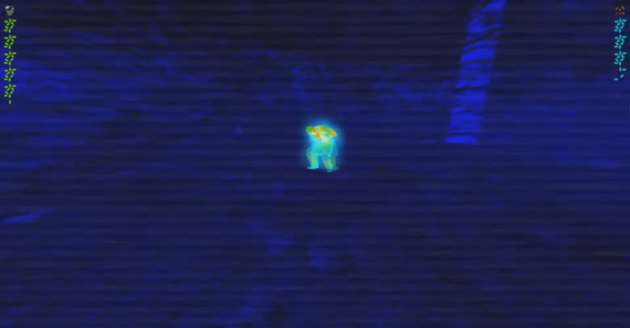 ������ ������������� "�����������"