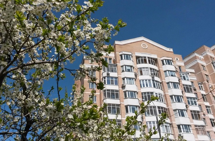 ����� �� ����� ������������ ������ ��������� ���������