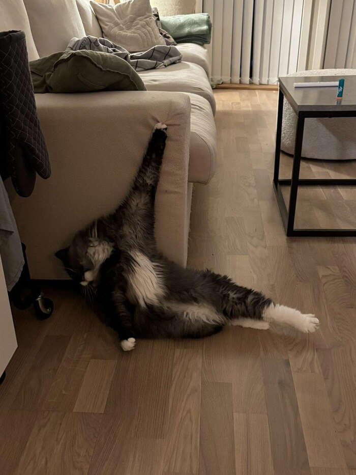       ...        ! , , , 