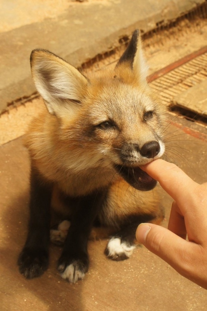 ���� ���� ����� � ��� �� �����...