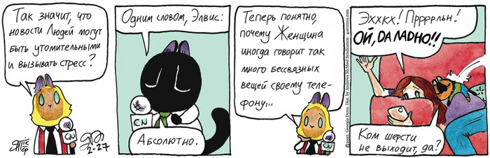 Котейкины Новости от 27.02.2025