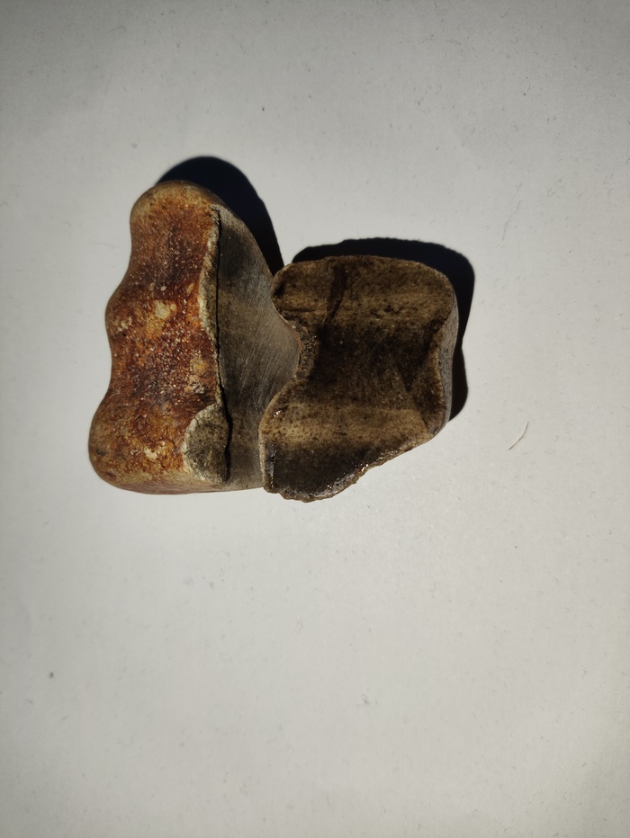 После распила алмазным диском, видно частично внутреннее строение косточки.