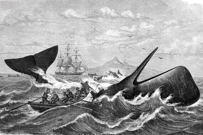  XIX   .        /iStock