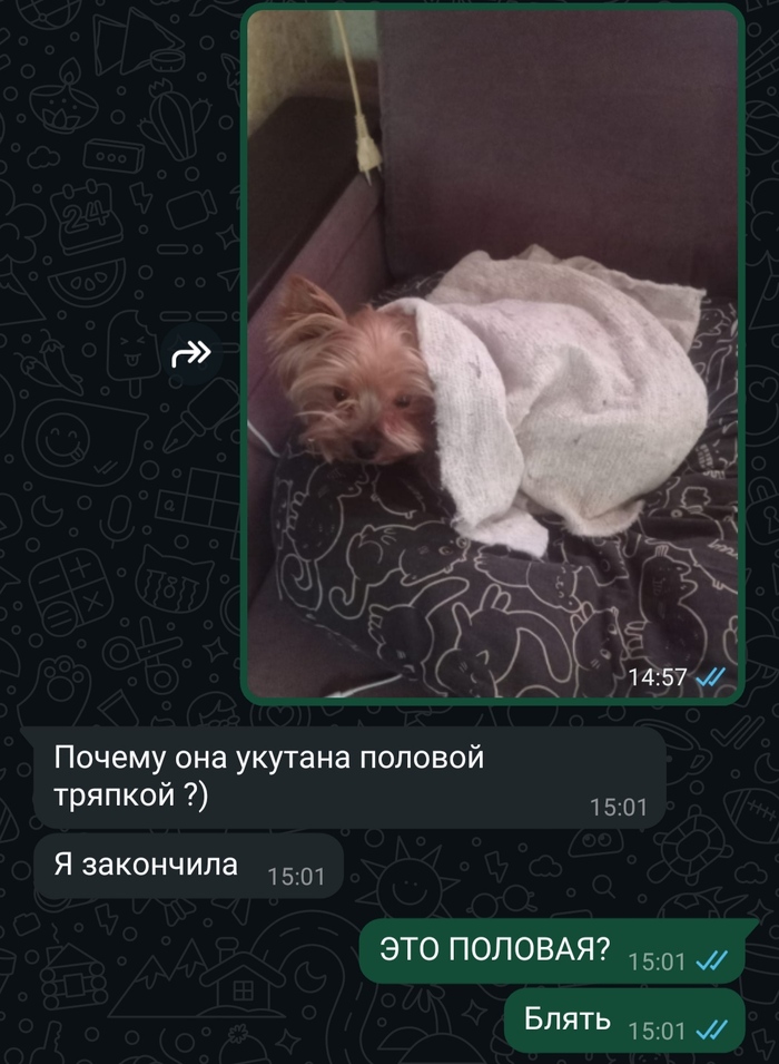 �����������, �� ���?