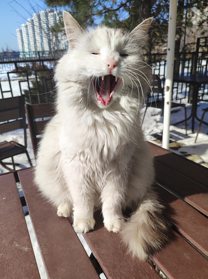 �������� ����