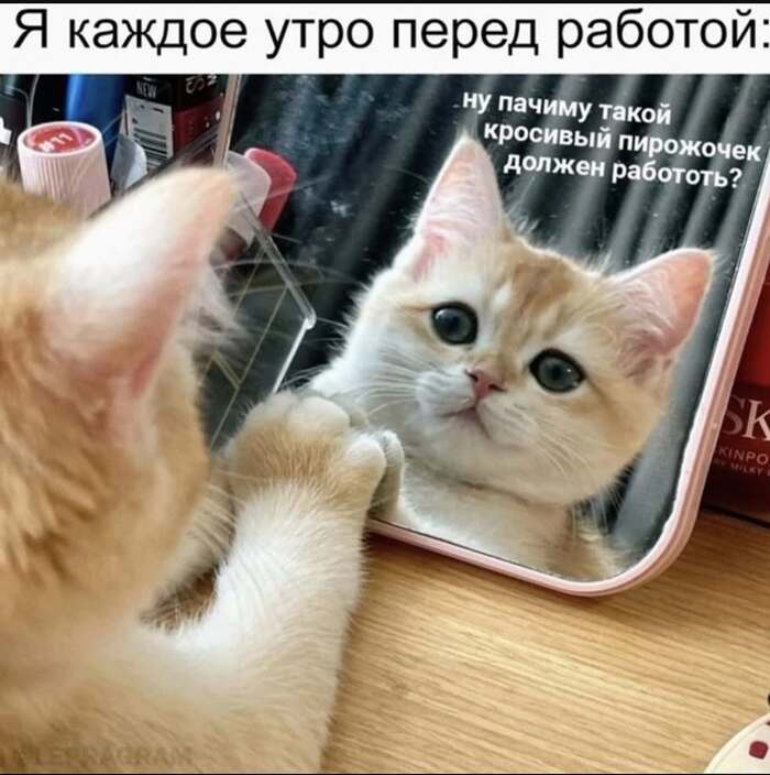 Да уж) каждое утро этот вопрос…