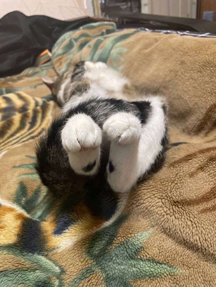 ��������