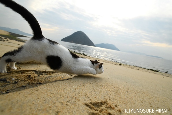 Низкий старт