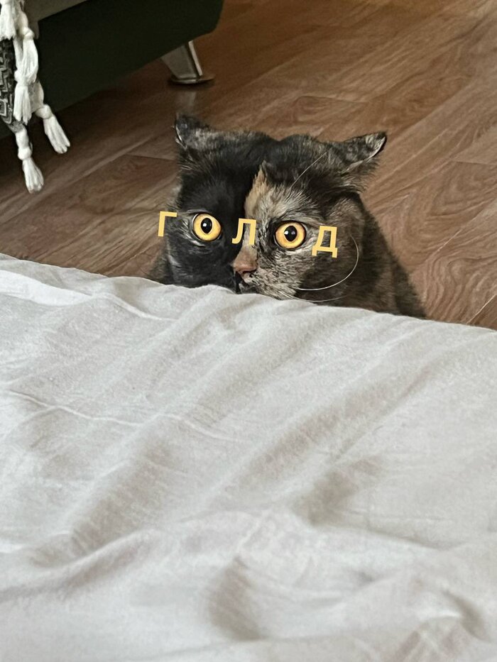           :      : , , , 