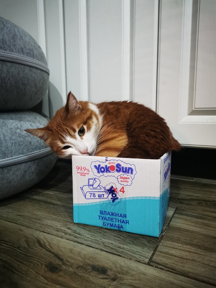 Как выглядит умиротворение