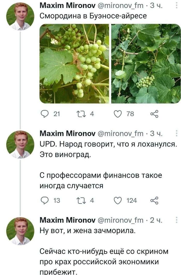     , , X (Twitter), , , , , , , 