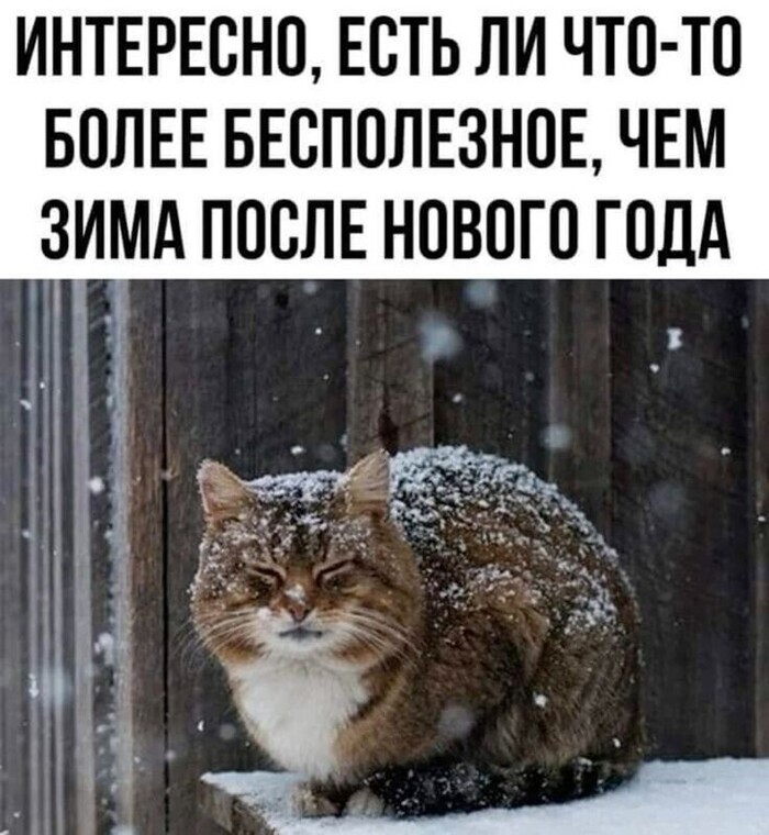       , , ,  , 