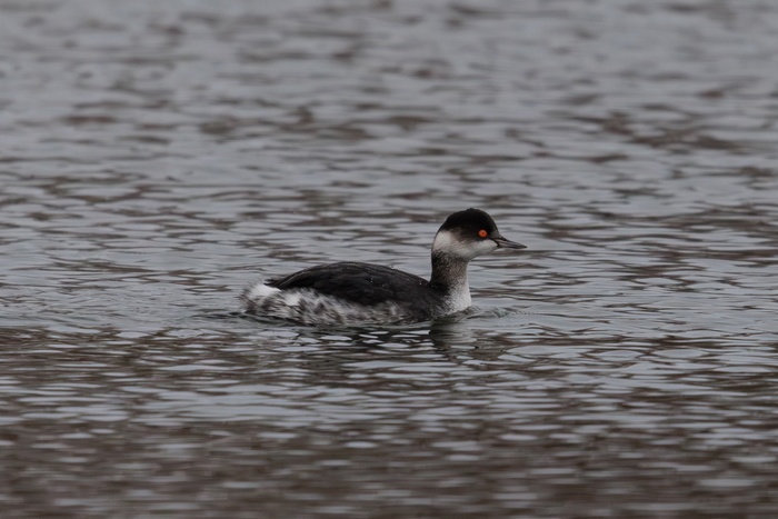  , 03.01.2025,  -,   .