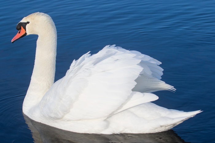 -, 07.01.2025,  ,   .