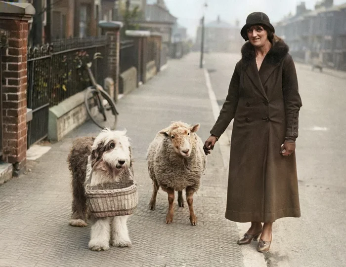 Любопытные фотографии из прошлого Великобритании. 20 раскрашенных фотографий ХХ века. Часть XVI Старое фото, Историческое фото, 20 век, Великобритания, Лондон, Англия, Колоризация, Длиннопост