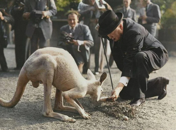 Любопытные фотографии из прошлого Великобритании. 20 раскрашенных фотографий ХХ века. Часть XVI Старое фото, Историческое фото, 20 век, Великобритания, Лондон, Англия, Колоризация, Длиннопост
