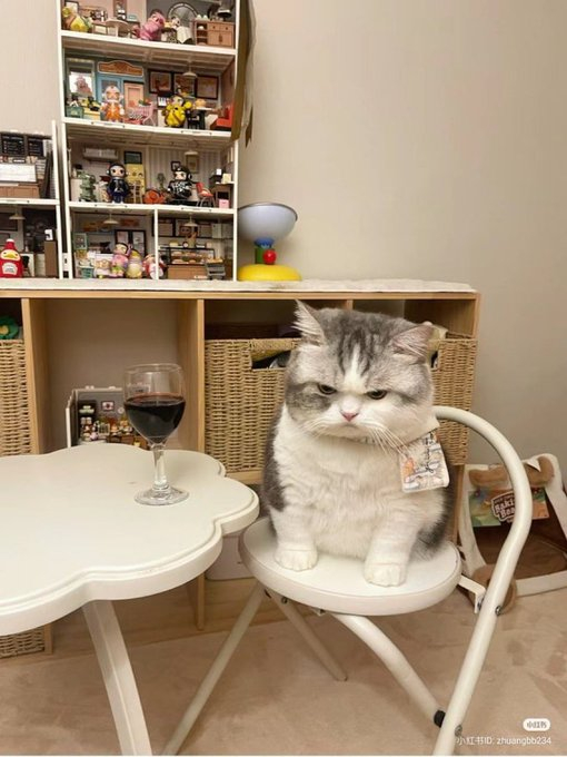 ������ �����������