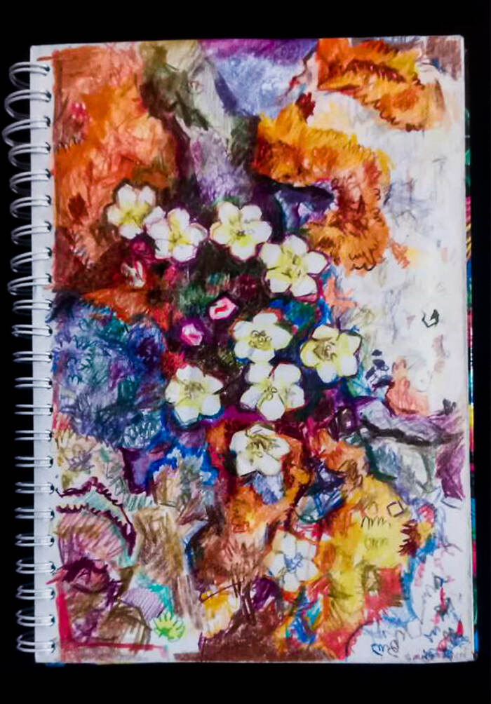 Природа прекраснамох, цветы и кости