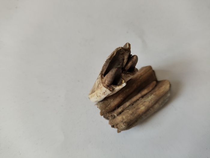  ,    ,  , ,  , , , 