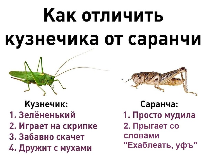 �� ����� �������� ���� ���������� ������ ��������, ���� ��������� � ����� �� ������� ������ �������