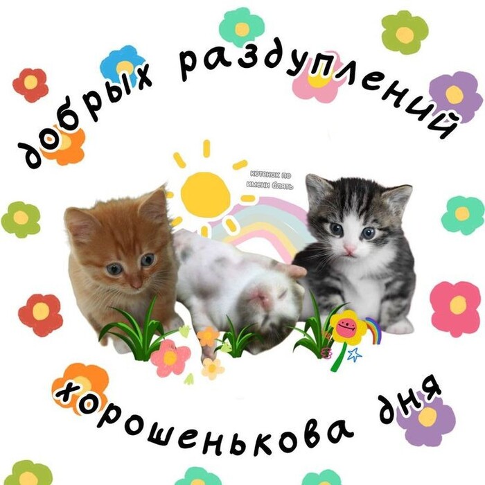 ������ ����, ������!