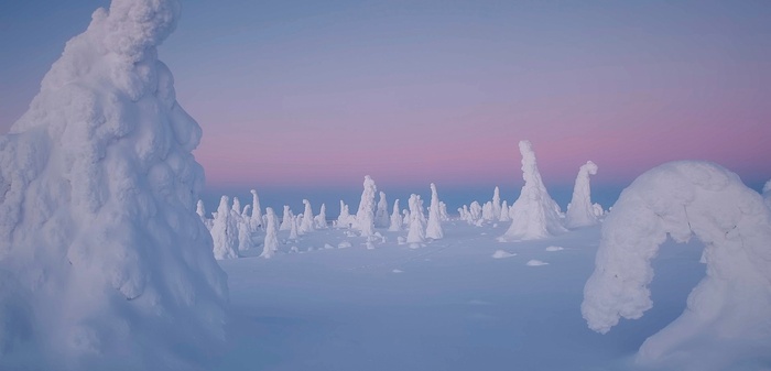 Фото А. Антонова.