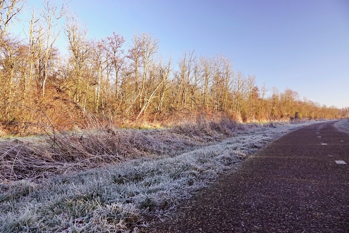 Прощай, зима!