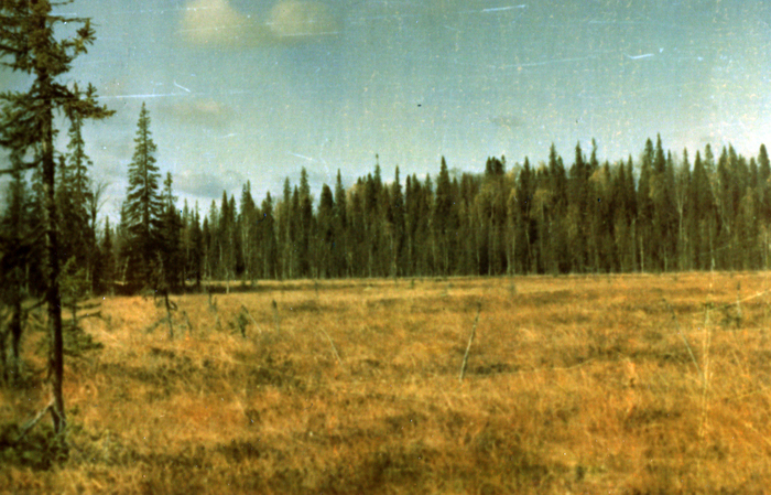 Не самые красивые места, прямо скажу.