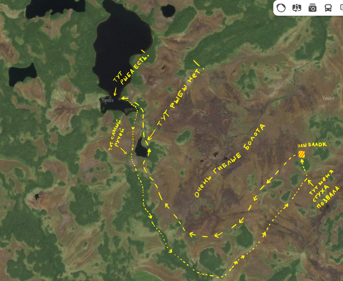 Карта нашего путешествия, для любознательных. Зелёные островки - колки, остальное - болото. На мой взгляд, здесь столько ориентиров, что заблудиться в принципе нереально. Яков Карлович со мной бы поспорил.