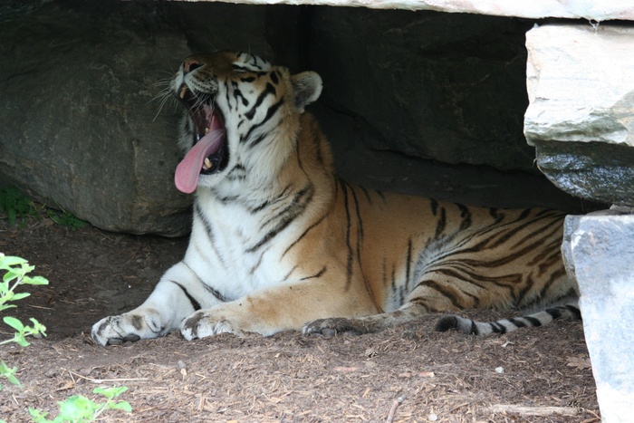 Обзевалась пока писала