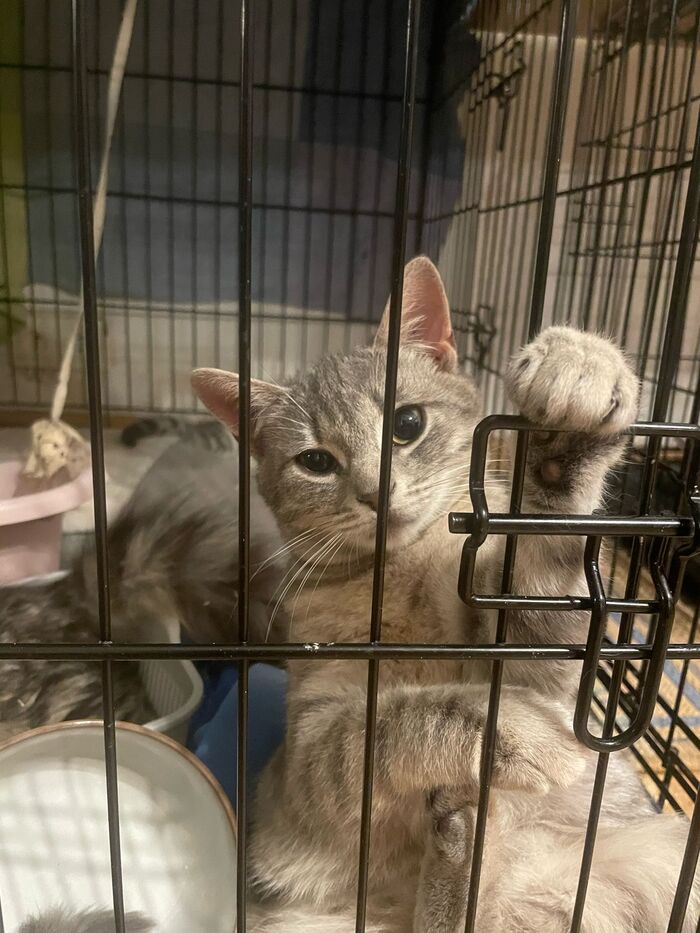 �� ����� ��, �����, �� ������ � ������� ����?