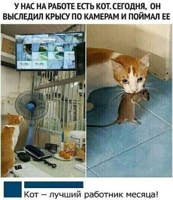  , , , , , , , , , , ,  