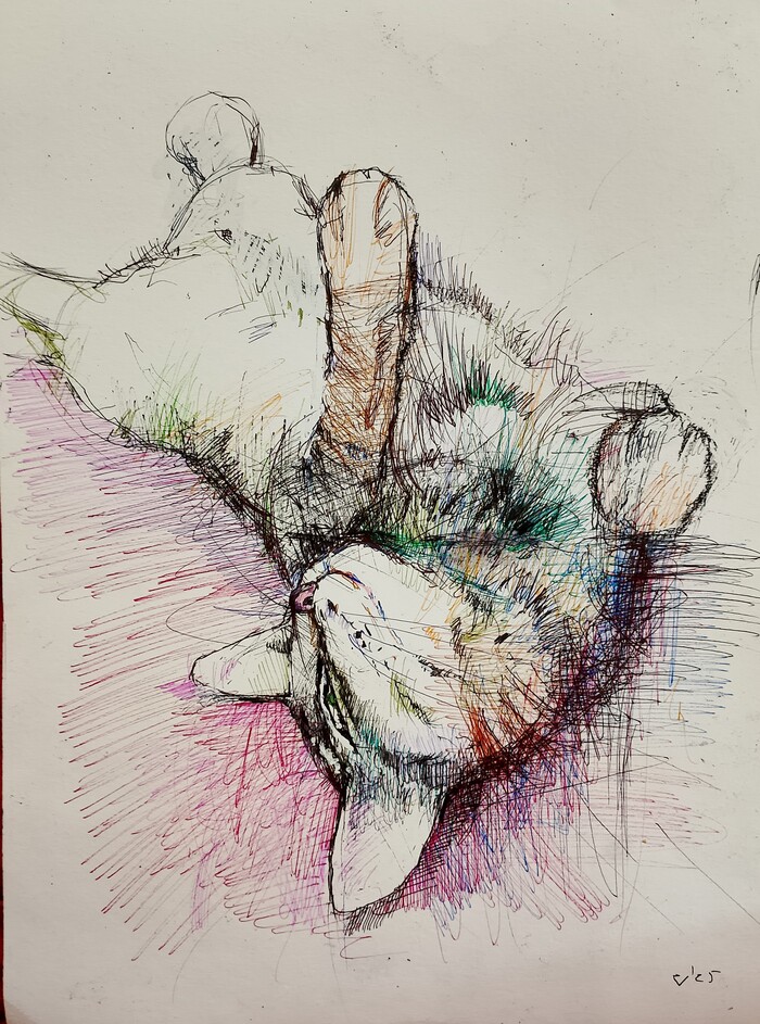  , , ,  , , , , 