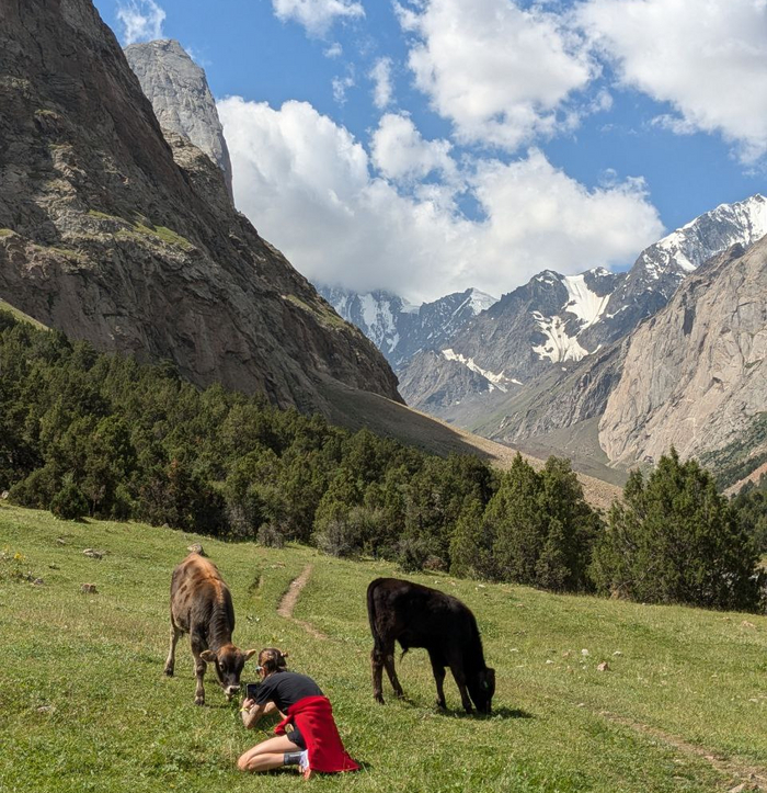 Радиальный выход, Каравшин